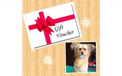 Gift Voucher